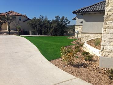 Artificial Grass Photos: Fake Pet Turf Sherman Oaks California Lawns